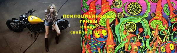 твердый Нефтегорск