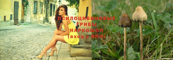 твердый Нефтегорск