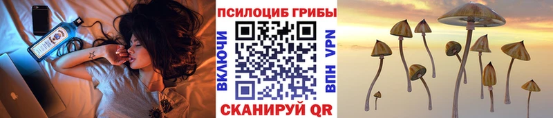 Псилоцибиновые грибы прущие грибы  Ладушкин 